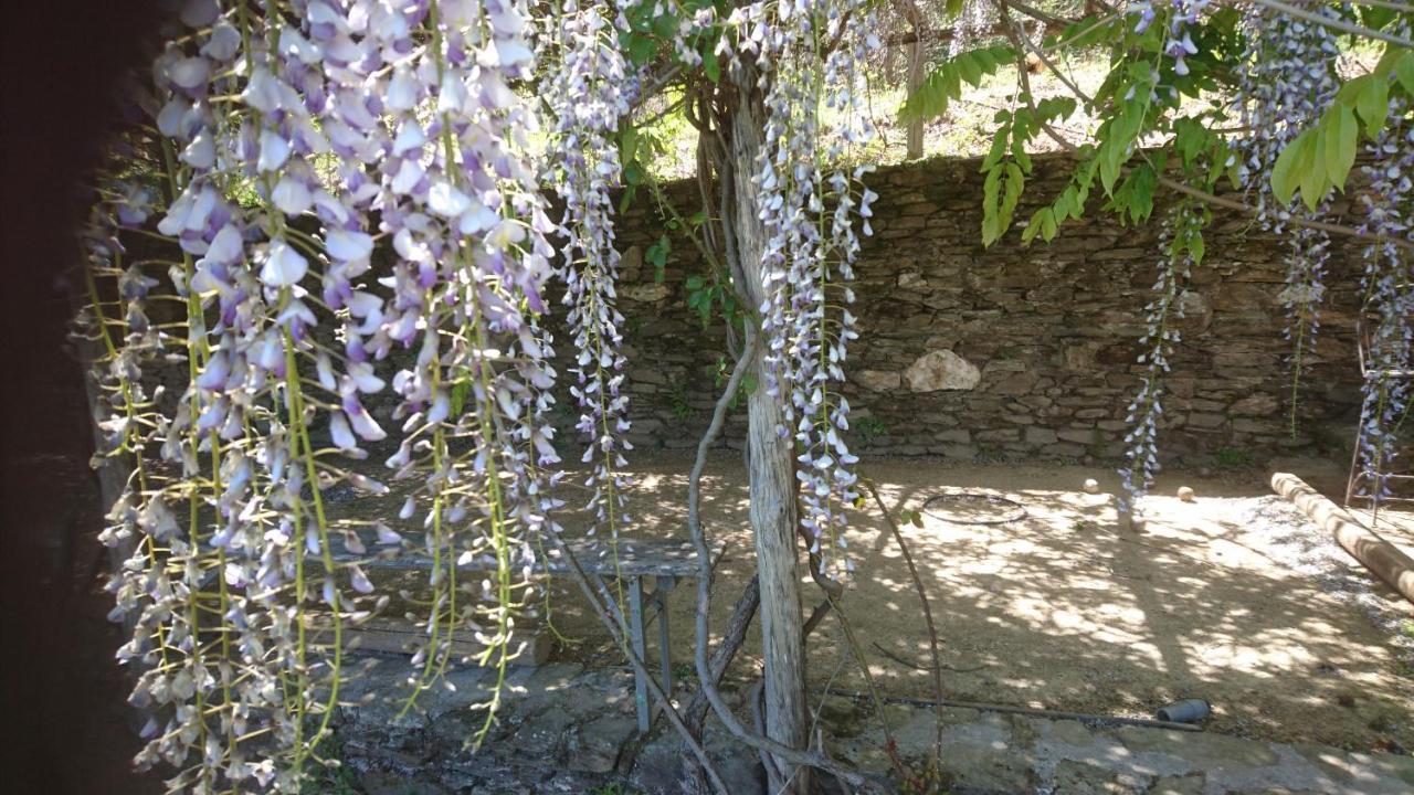 Le Mercou En Cevennes Saint-Martin-de-Boubaux Eksteriør bilde