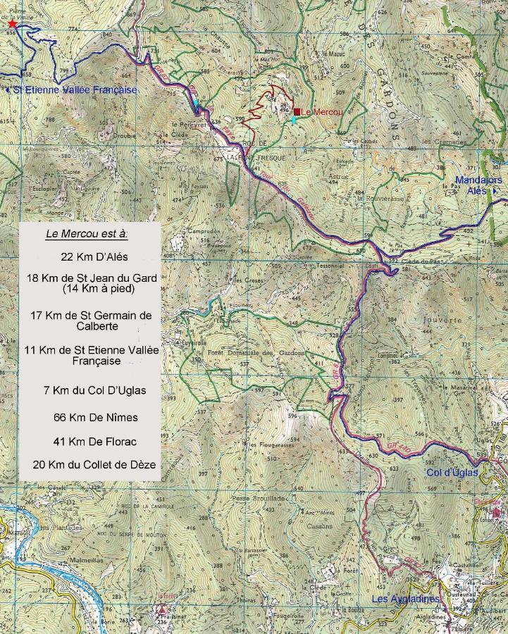 Le Mercou En Cevennes Saint-Martin-de-Boubaux Eksteriør bilde