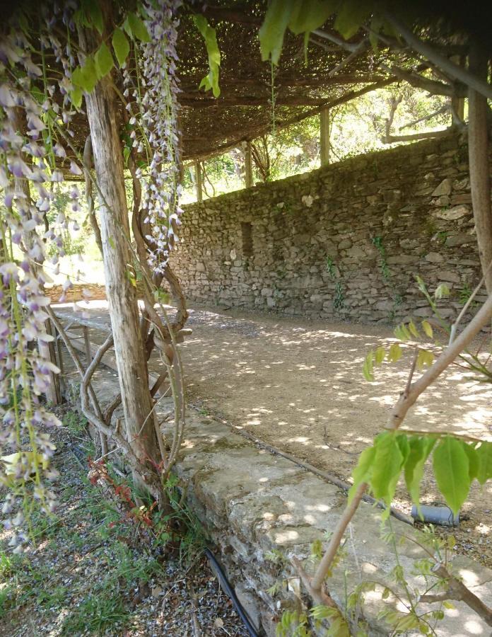 Le Mercou En Cevennes Saint-Martin-de-Boubaux Eksteriør bilde